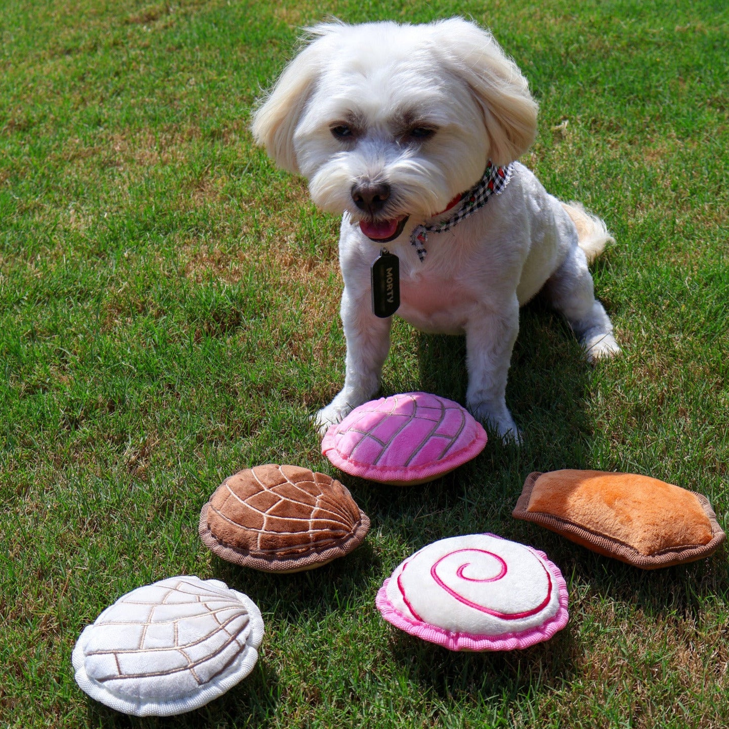 Paw Dulce Dog Toys