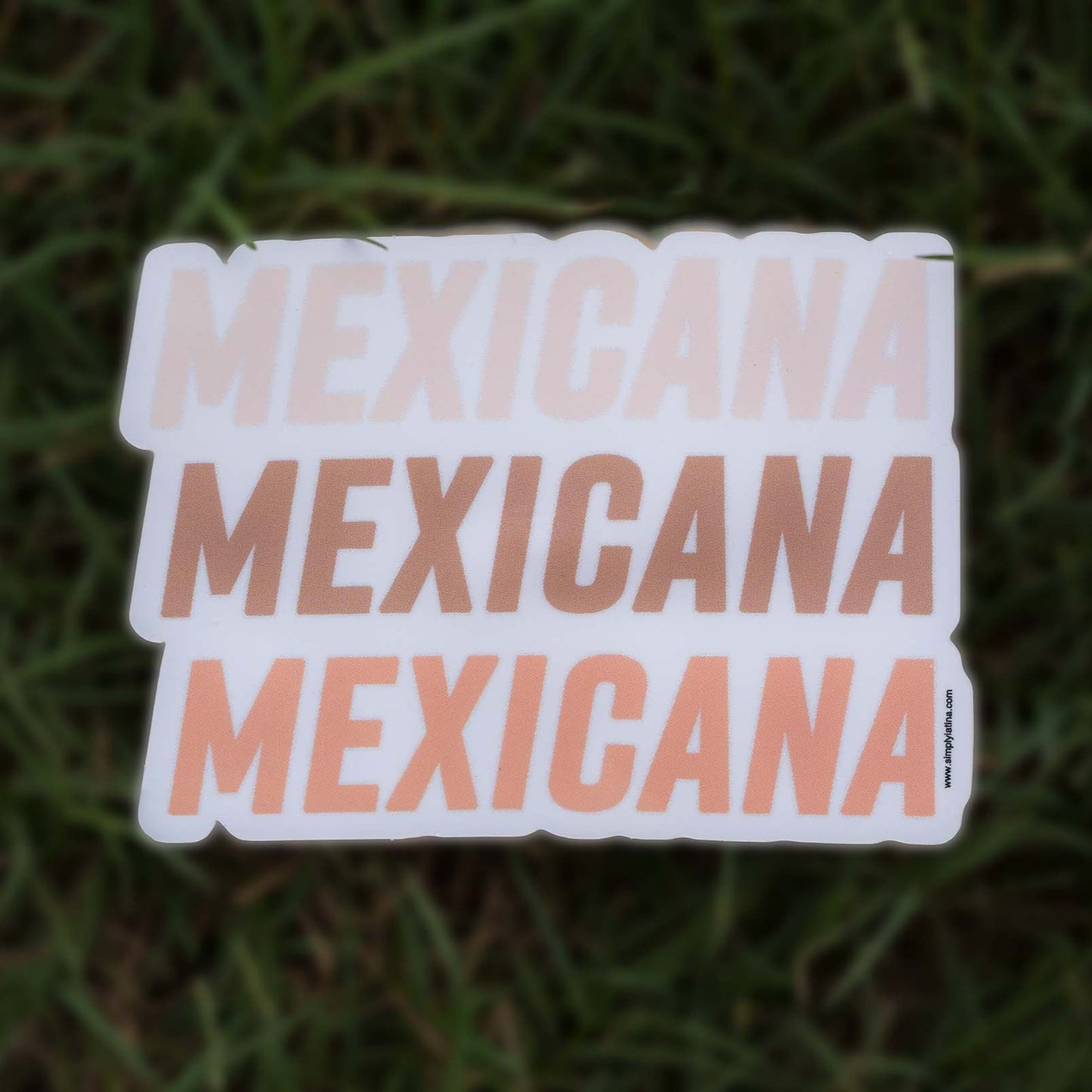 Mexicana Sticker Set
